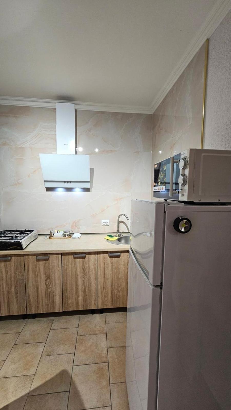 Soft Pink Apartment ムカチェヴォ エクステリア 写真