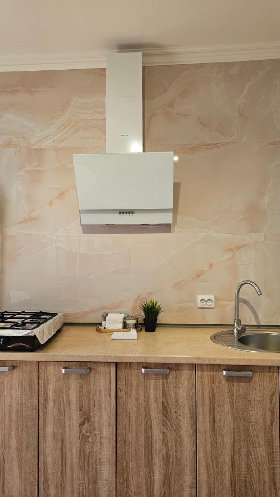 Soft Pink Apartment ムカチェヴォ エクステリア 写真